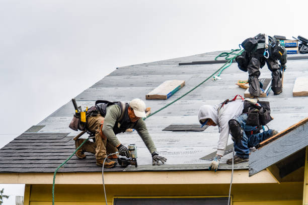 Professional Storm Damage Roof Repair technician working in Hollis, OK
